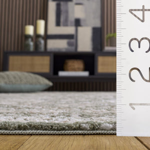 Safavieh Lunara Sage Green Ivory Polyester Area Rug Turkish Loomed Soft Traditional Living Room LUA318Y-9