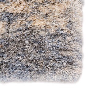 Jaipur Living Jaipur Living Cantata Plush Shag Rug Abstract Polypropylene Accent for Modern Interiors 2'6" x 8' RUG143197