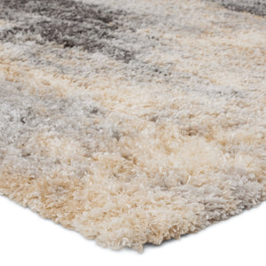 Jaipur Living Lyra Triton Modern Machine Made Indoor Rug Gray 10'2"x14'1"