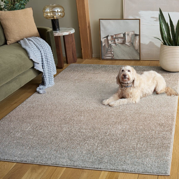 Safavieh Madison Solid Grey Polypropylene Area Rug Turkish Woven Low Pile for Living Room MAD601F-5