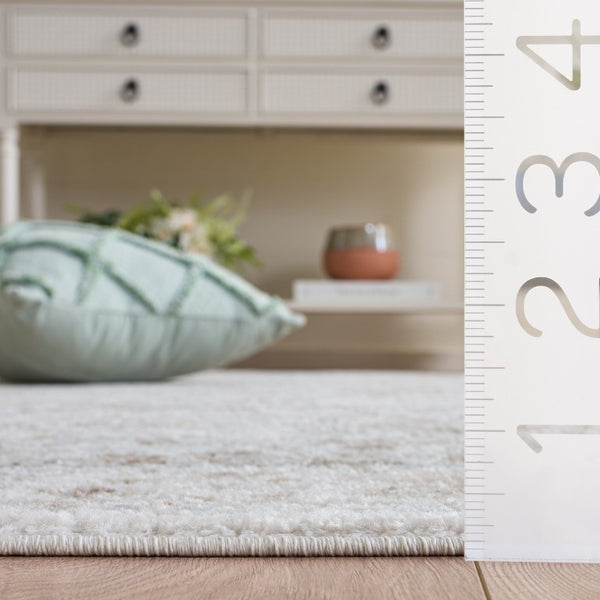 Safavieh Madison Power Loomed Polypropylene Area Rug Solid Neutral Grey for Living Room Floors MAD609F-5