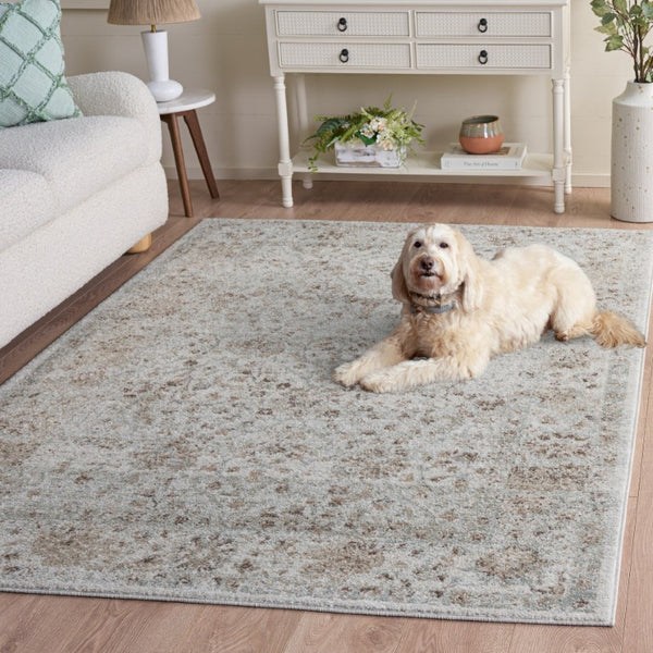 Safavieh Madison Power Loomed Polypropylene Area Rug Solid Neutral Grey for Living Room Floors MAD609F-5
