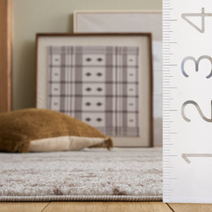 Safavieh Madison Power Loomed Polypropylene Accent Rug Solid Neutral Tone for Any Room MAD797A-3