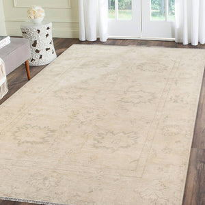 Maya Hand-knotted Wool Viscose Area Rug Distressed Silver Bordered Accent
