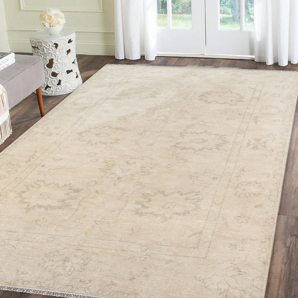 Maya Hand-knotted Wool Viscose Area Rug Distressed Silver Bordered Accent