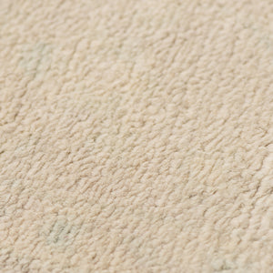 Maya Hand-knotted Wool Viscose Area Rug Vintage Distressed Border for Entryways