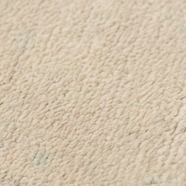 Maya Hand-knotted Wool Viscose Area Rug Vintage Distressed Border for Entryways