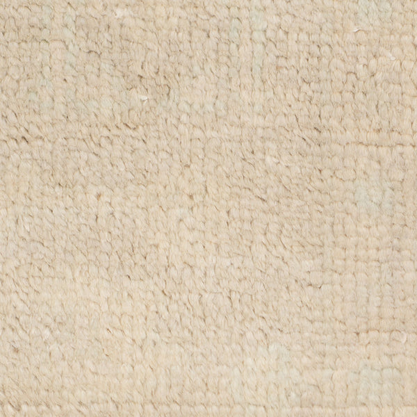 Maya Hand-knotted Wool Viscose Area Rug Vintage Distressed Border for Entryways