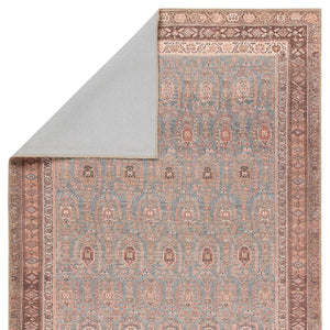 Jaipur Living Vibe by Jaipur Living Tielo Faded Persian Medallion Polyester Rug for Rooms 9' x 12' RUG148801