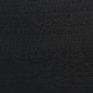 Safavieh Halton 2 Door 1 Shelf Media Stand Black MED5706B