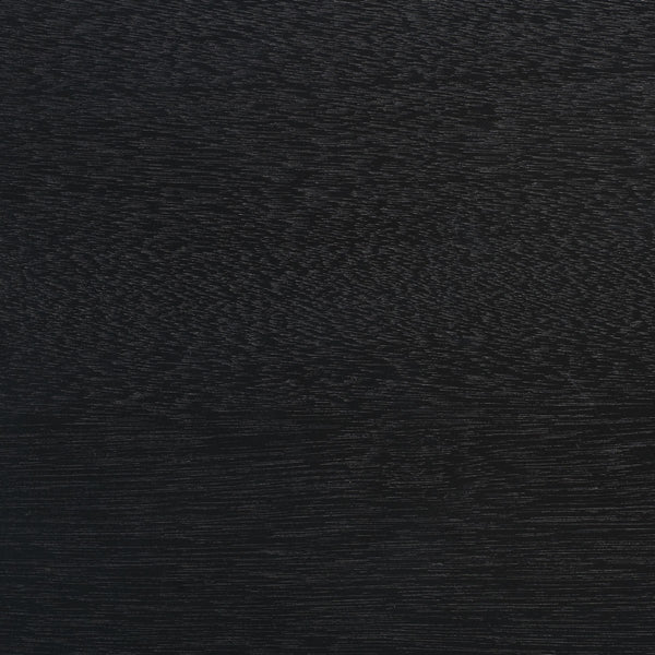 Safavieh Halton 2 Door 1 Shelf Media Stand Black MED5706B