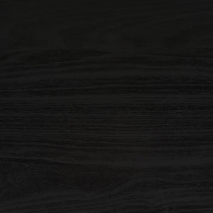 Safavieh Claude 2 Door 2 Shelf Media Stand XII23 Black Wood MED9610B