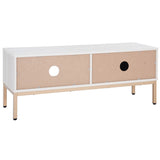 Safavieh Lylia 1 Door Media Stand White Wood MED9617C