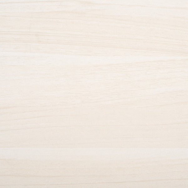 Safavieh Aino 2 Door Media Stand White 53.2" x 15.4" x 16"