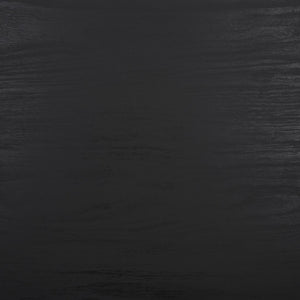 Safavieh Aphra 2 Door 2 Shelf Media Stand Black MED9624B