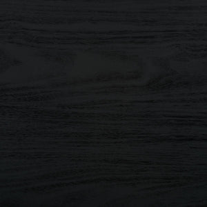 Safavieh Aricia Small 2 Door Media Stand Black 46.9" x 15.4" x 19.9"