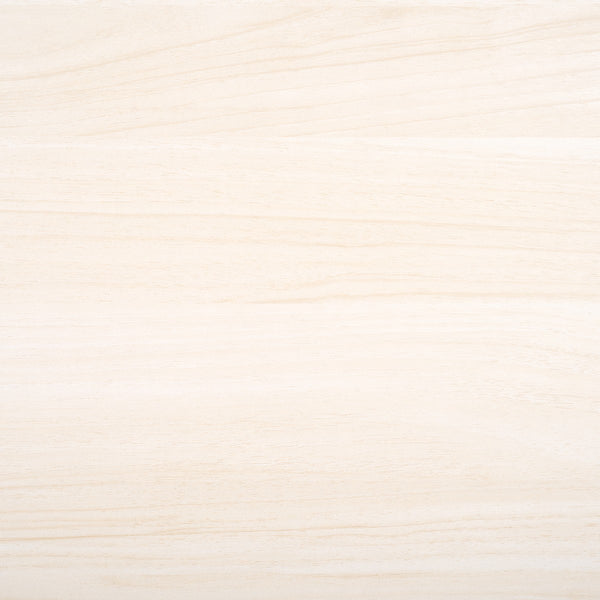 Safavieh Aricia Small 2 Door Media Stand White 46.9" x 15.4" x 19.9"