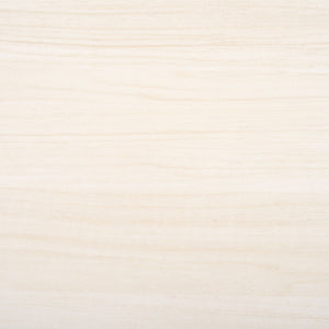 Safavieh Aricia Large 2 Door Media Stand White 59" x 15.4" x 19.9"