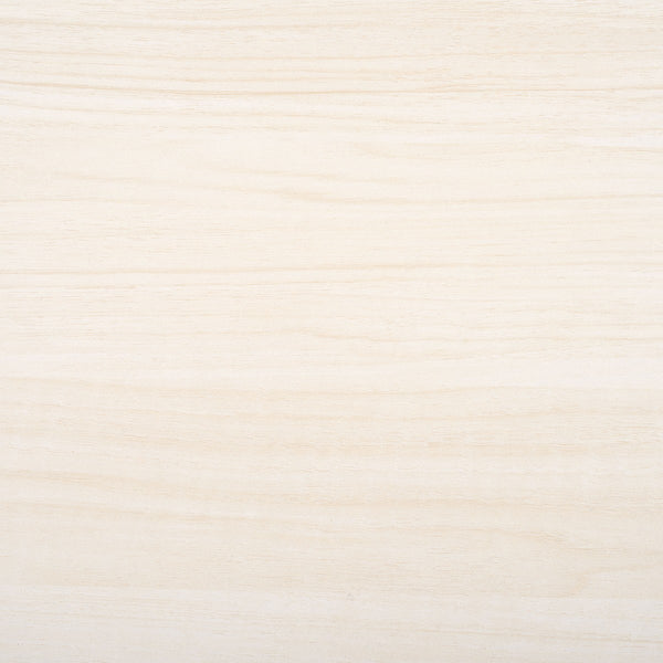 Safavieh Aricia Large 2 Door Media Stand White 59" x 15.4" x 19.9"