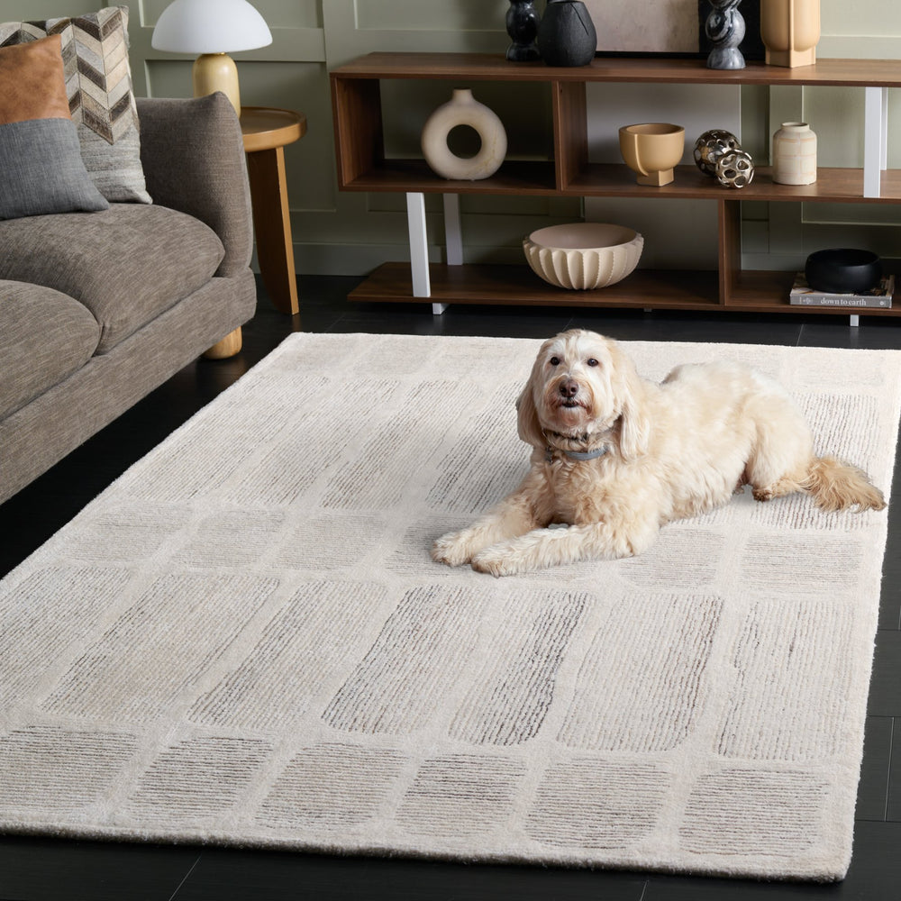 Safavieh Metro Hand-Tufted Ivory And Grey Area Rug With Wool-Viscose Blend, Low Profile Durability For Home Decor 4'-0" x 6'-0" MET780A-4