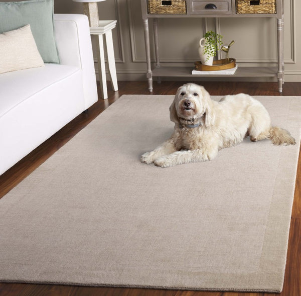 Safavieh Mirage Hand Loomed Wool Cotton Ivory Area Rug Soft Minimalist Living Room Floor Accent MIR685A-5
