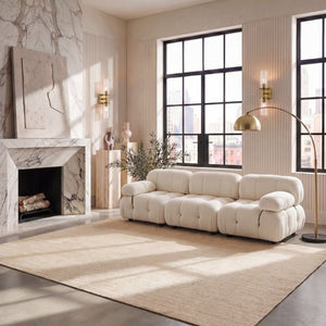 Safavieh Mirage Ivory Area Rug Soft Plush Pile Classic Design for Living Room Floors MIR686A-8