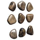 Uttermost Pebbles Walnut Wood Wall Décor, S/9 04323 TAMARIND WOOD