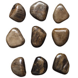 Uttermost Pebbles Walnut Wood Wall Décor, S/9 04323 TAMARIND WOOD