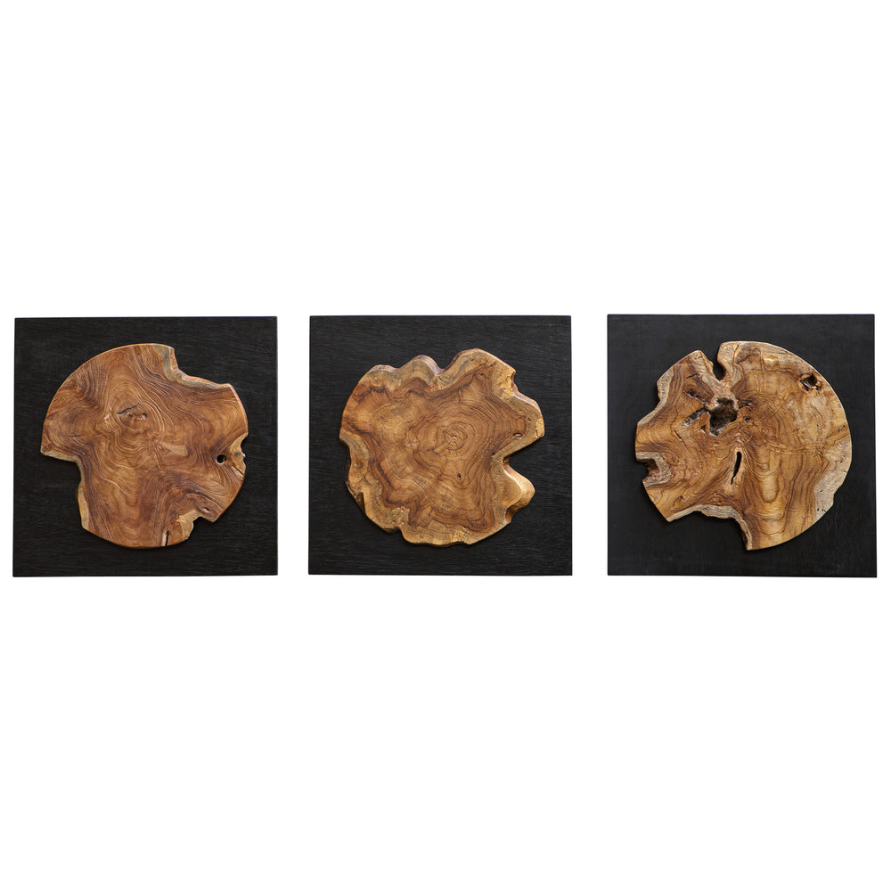 Uttermost Kolini Teak Wood Wall Decor, S/3 04336 MAHOGANY, TEAK, AND PLYWOOD