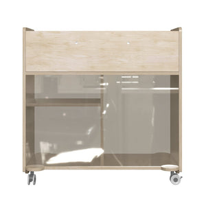 English Elm Bright Beginnings Mobile Storage Cart - Double-Sided Wooden Organizer with Locking Casters & Clear Back MK-KE24268-GG