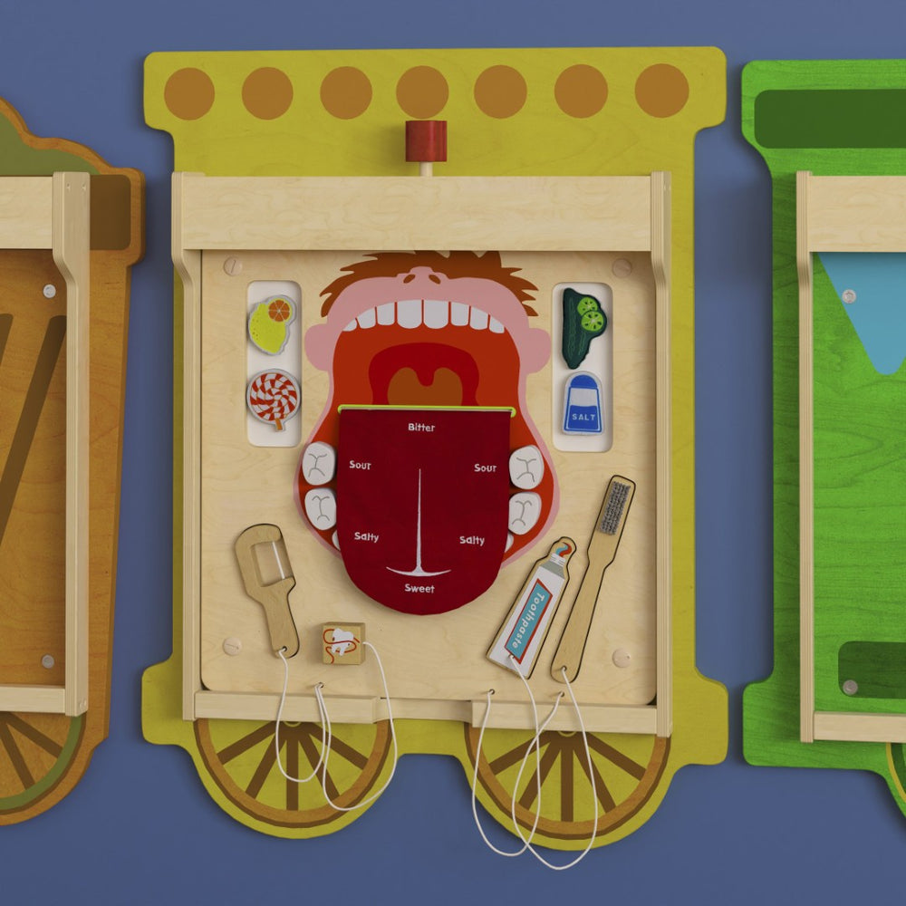 English Elm Bright Beginnings STEAM Wall Activity Board - Dental Hygiene Learning Tool with Durable Design & Fun Colors MK-ME10346-GG