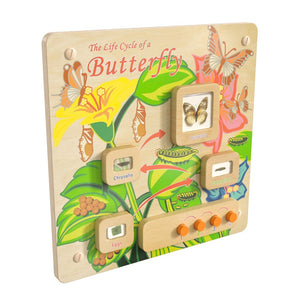 English Elm Bright Beginnings STEAM Wall Activity Board: Engaging Butterfly Life Cycle with Illumination & Real Specimens MK-ME12883-GG