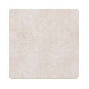 English Elm Bright Beginnings STEAM Wall Activity Board: Engaging Butterfly Life Cycle with Illumination & Real Specimens MK-ME12883-GG