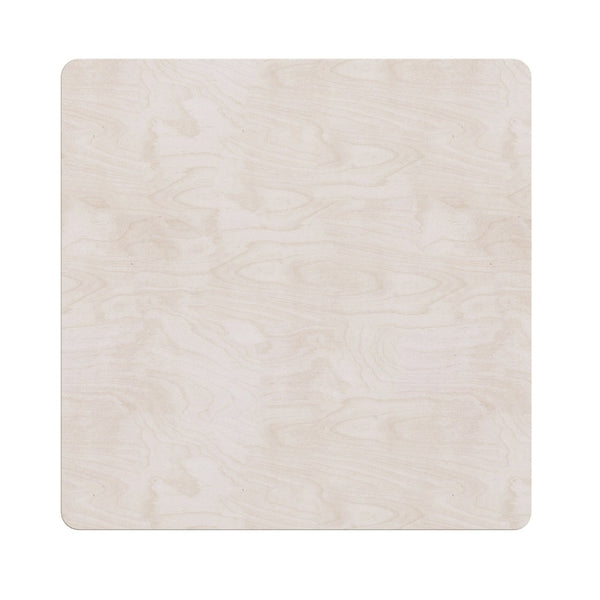 English Elm Bright Beginnings STEAM Wall Activity Board: Engaging Butterfly Life Cycle with Illumination & Real Specimens MK-ME12883-GG