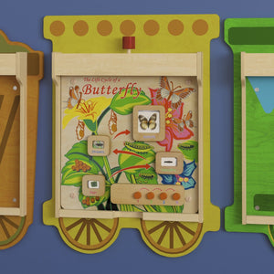 English Elm Bright Beginnings STEAM Wall Activity Board: Engaging Butterfly Life Cycle with Illumination & Real Specimens MK-ME12883-GG