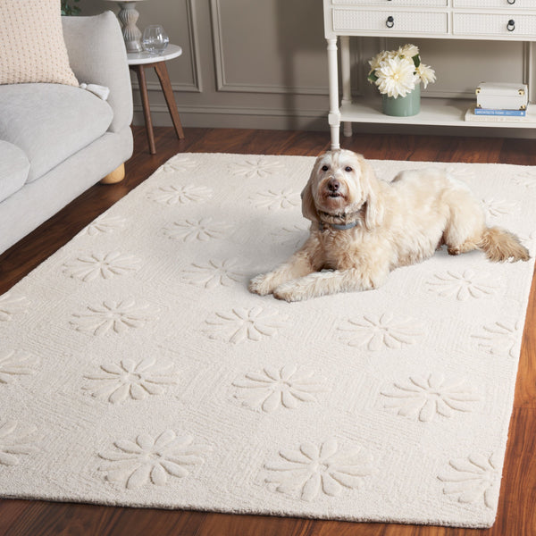 Safavieh Mykonos Luxurious Handcrafted Area Rug: Soft, Durable Design Perfect For Living Rooms & Bedrooms Ivory 85% Wool,15% Cotton Mkn106a-6r