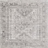 Monte Carlo MNC-2314 6'7" x 6'7" Machine Woven Rug MNC2314-67SQ Livabliss Surya