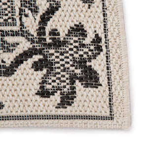 Jaipur Living Jaipur Living Laurel Polypropylene Damask Rug Arts Crafts Floral Indoor Outdoor 2' X 3'7" RUG143344