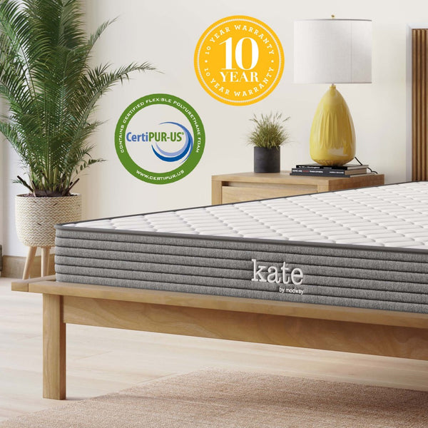 Modway Furniture Kate 6" Queen Mattress - Low-Profile Spring Support & Plush Comfort Layer for Restful Sleep Experience MOD-5774-WHI
