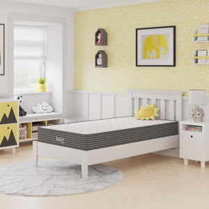Modway Furniture Kate 8" Twin Mattress by Modway - Premium Support & Comfort for Kids, Guests, or Compact Spaces MOD-5776-WHI
