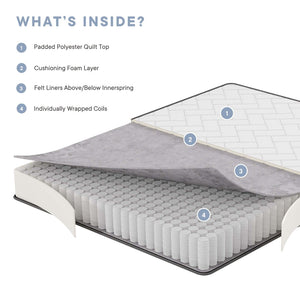 Modway Furniture Kate 8" Queen Mattress - Premium Spring Support & Soft Cushioning for Restful Sleep & Pressure Relief MOD-5778-WHI