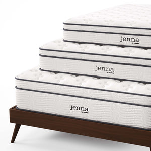 Modway Furniture Jenna 14" Hybrid Queen Mattress - Innerspring & Foam for Ultimate Comfort, Support, and Cool Sleep MOD-6084-WHI