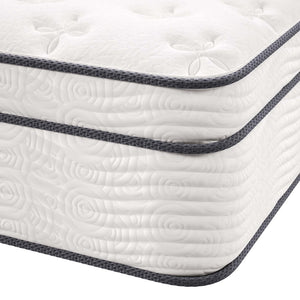 Modway Furniture Jenna 14" California King Hybrid Mattress - Pocketed Coils & Breathable Foam for Ultimate Comfort MOD-6086-WHI