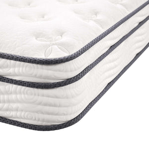 Modway Furniture Jenna 8" Hybrid Innerspring & Foam Mattress - Pressure Relief, Motion Isolation, Firm Support MOD-6134-WHI