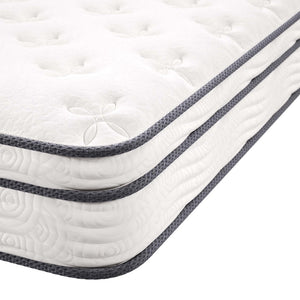 Modway Furniture Jenna 8" Hybrid Queen Mattress - Innerspring & Foam for Ultimate Comfort, Support, and Cool Sleep MOD-6135-WHI