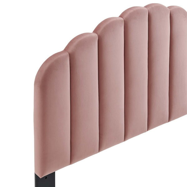 Modway Furniture Veronique Performance Velvet Full/Queen Headboard - Vintage Glamour Meets Modern Comfort and Style Dusty Rose MOD-6207-DUS