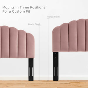 Modway Furniture Veronique Performance Velvet Full/Queen Headboard - Vintage Glamour Meets Modern Comfort and Style Dusty Rose MOD-6207-DUS