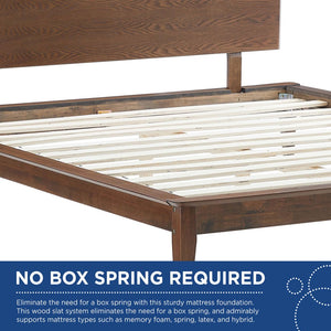 Modway Furniture Astra Wood Queen Platform Bed - Mid-Century Modern Design, Sturdy Support & Stylish Warmth MOD-6250-WAL