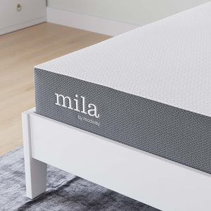 Modway Furniture Mila 8" Memory Foam Full Mattress - Compressed Design for Easy Setup, Pressure Relief & Comfort MOD-6257-WHI