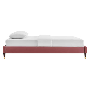 Modway Furniture Current Performance Velvet Queen Platform Bed by Modway - Elegant Coastal Design for Modern Bedrooms Dusty Rose MOD-6734-DUS